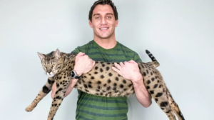 Gato gigante