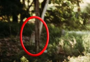 Mãe afirma que fantasma da filha aparece em foto de casamento